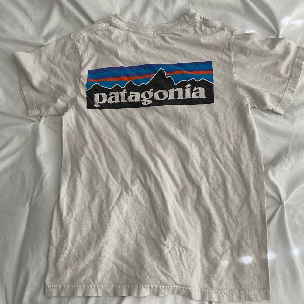 COPY - Patagonia tshirt